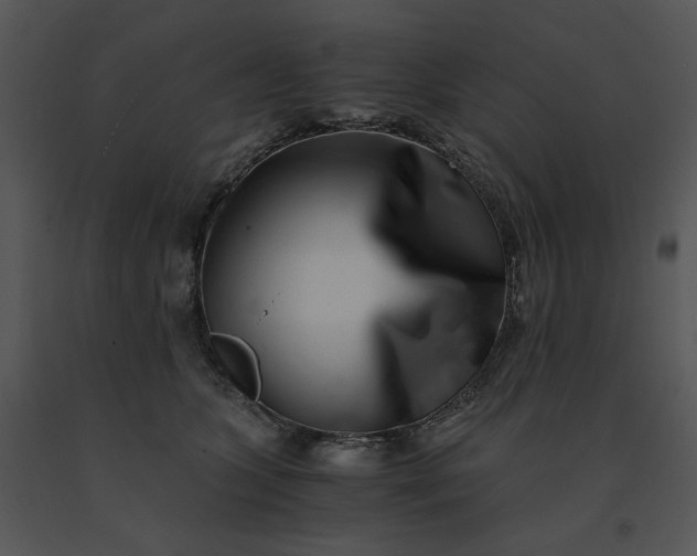 X0000091520563200708311251