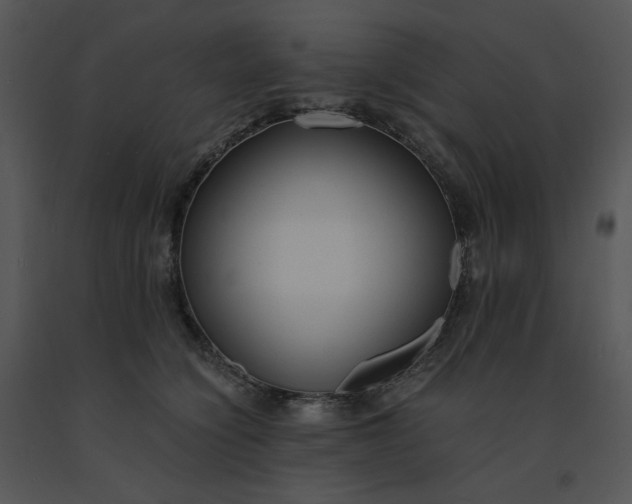 X0000091520564200708311251