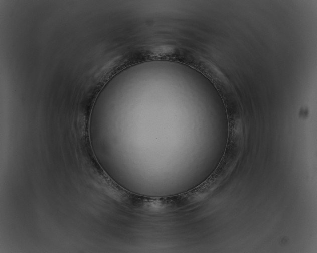 X0000091520565200708311251