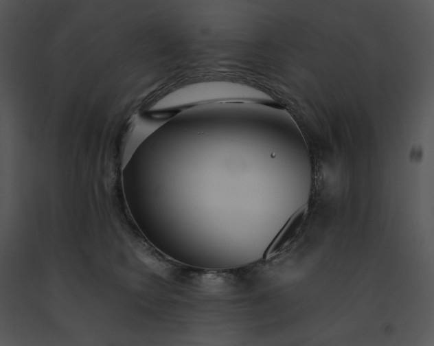 X0000091520566200708311251