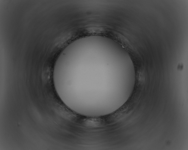 X0000091520567200708311251