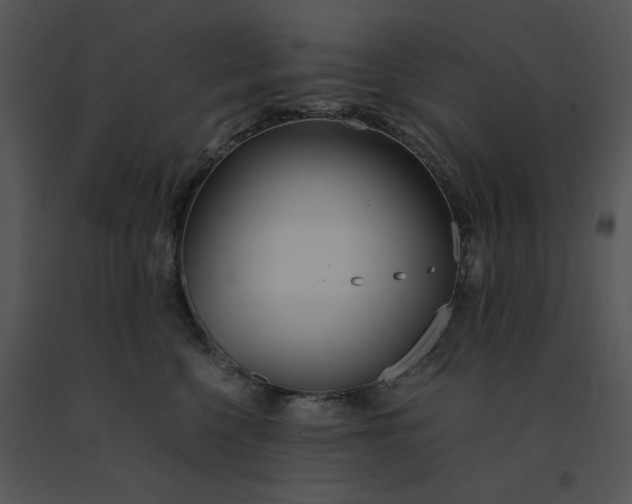 X0000091520568200708311251