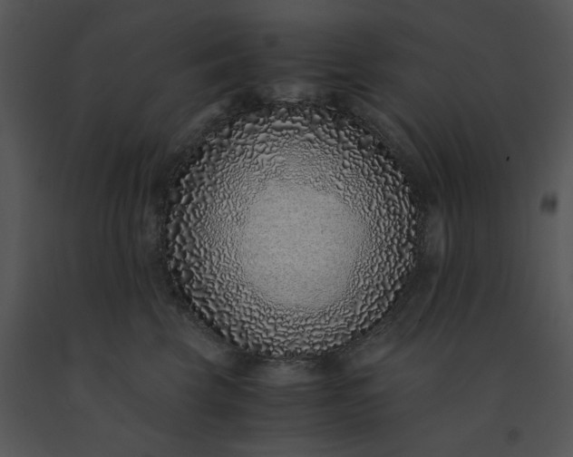 X0000091520569200708311251