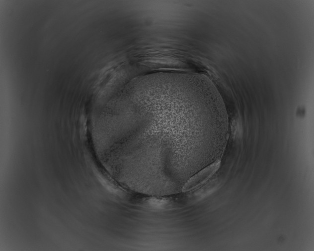 X0000091520570200708311251