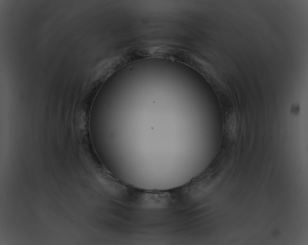 X0000091520571200708311251