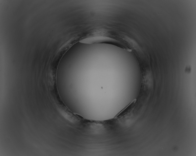 X0000091520572200708311251