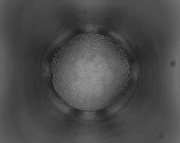 X0000091520573200708311251