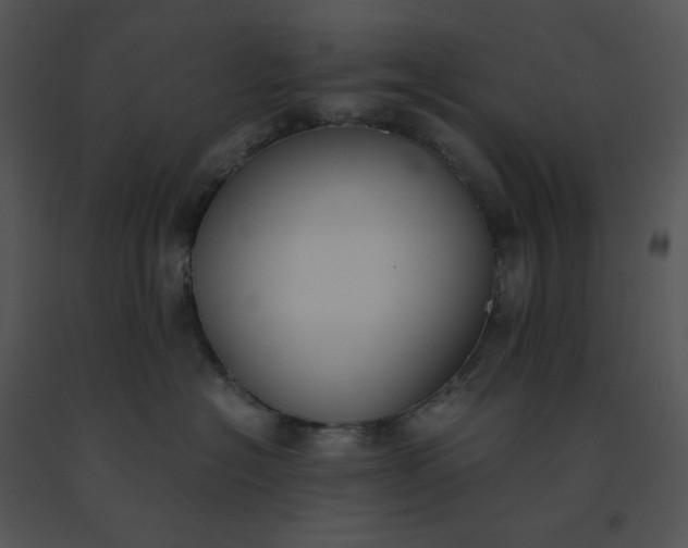 X0000091520574200708311251