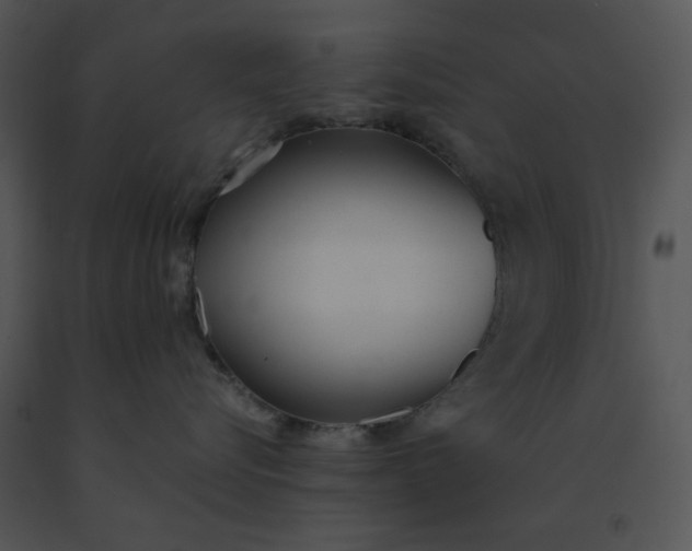 X0000091520576200708311251