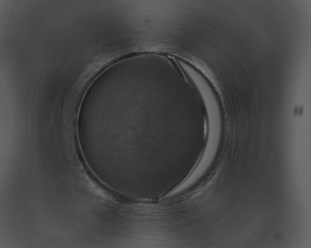 X0000091520577200708311251