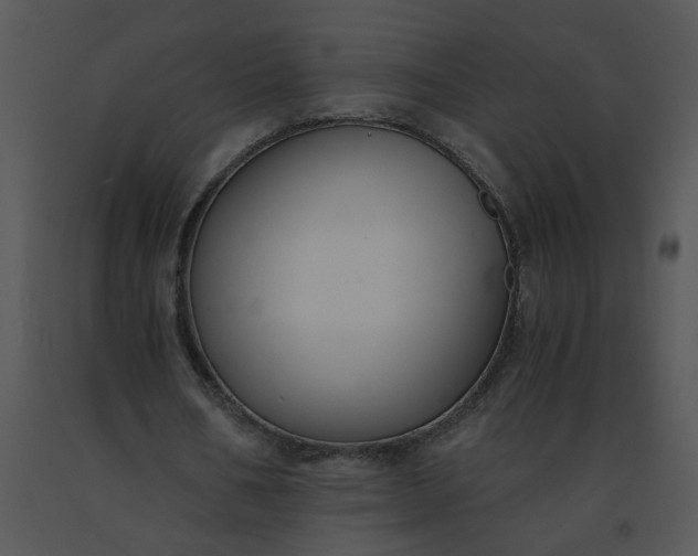 X0000091520578200708311251