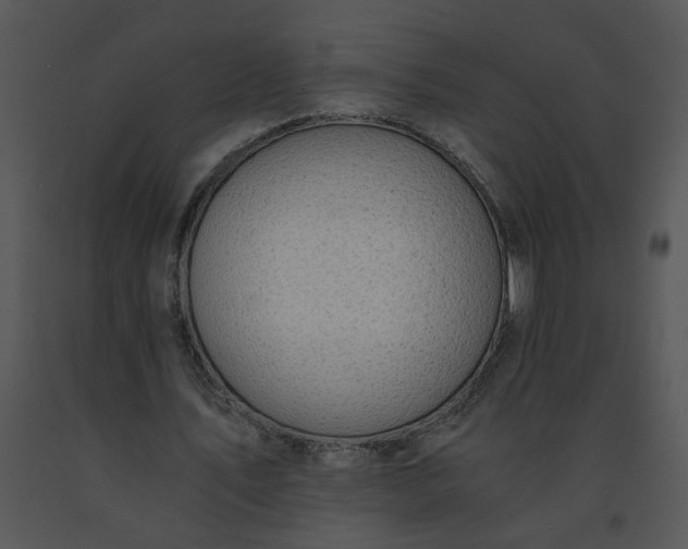 X0000091520579200708311251