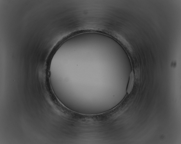 X0000091520580200708311251