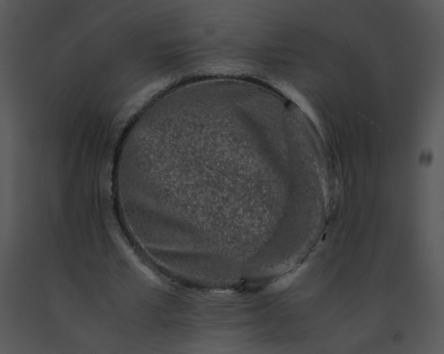 X0000091520581200708311251