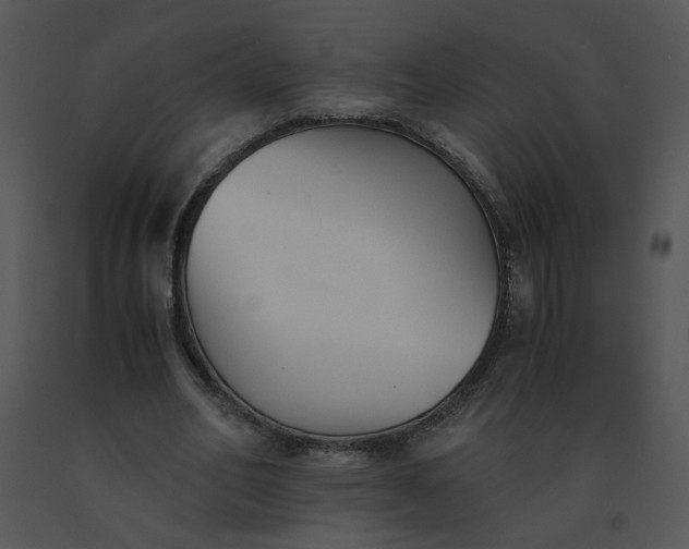 X0000091520582200708311251