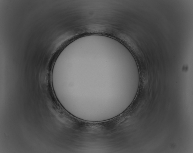 X0000091520583200708311251