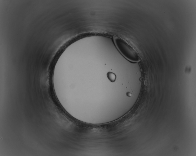 X0000091520584200708311250