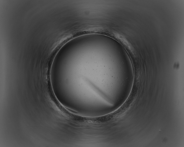 X0000091520585200708311250