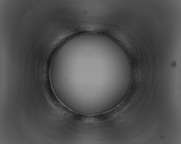 X0000091520587200708311250