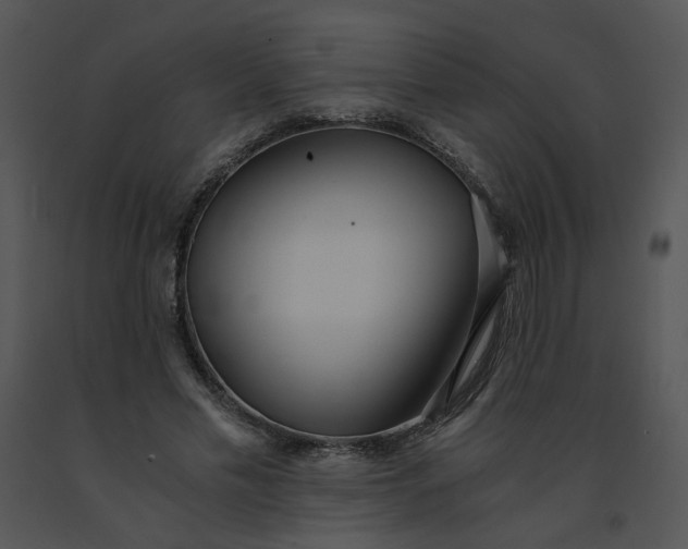 X0000091520589200708311250