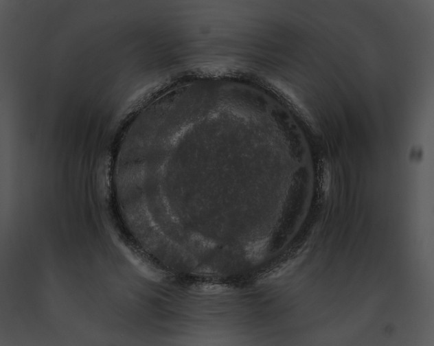 X0000091520590200708311250