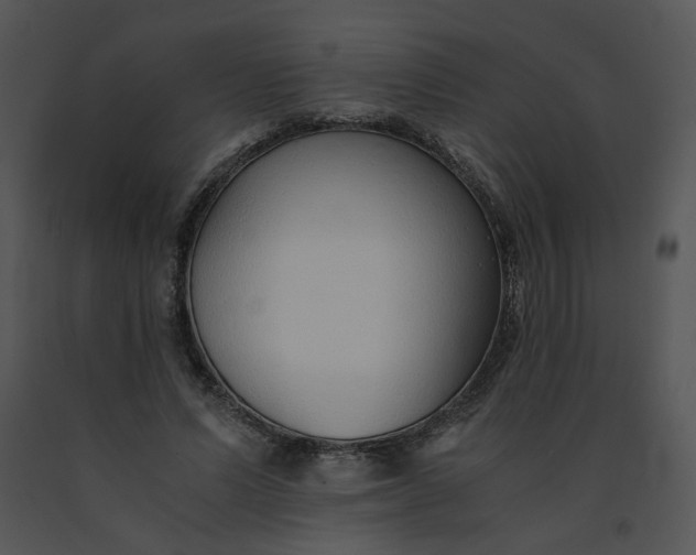 X0000091520591200708311250