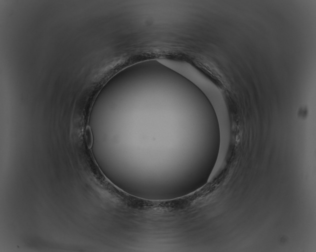 X0000091520593200708311250