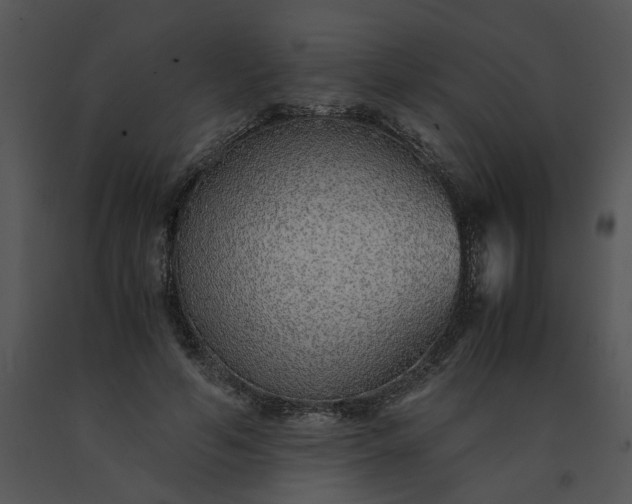 X0000091520594200708311250