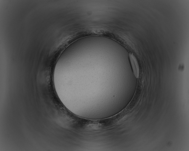 X0000091520595200708311250