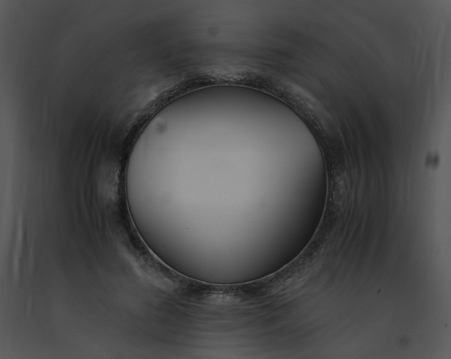 X0000091520596200708311250