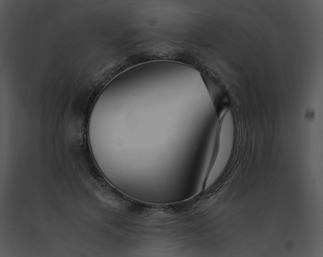 X0000091520597200708311250