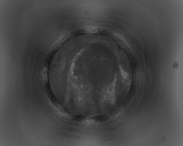 X0000091520598200708311250