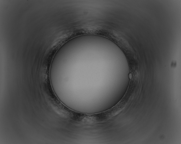 X0000091520599200708311250