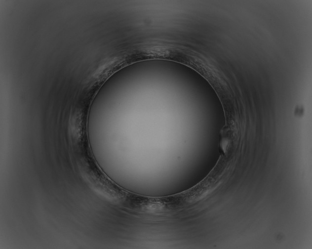 X0000091520600200708311250