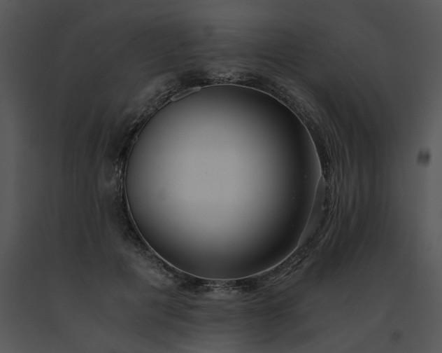 X0000091520601200708311250