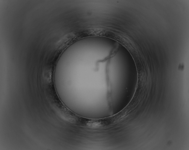 X0000091520602200708311250