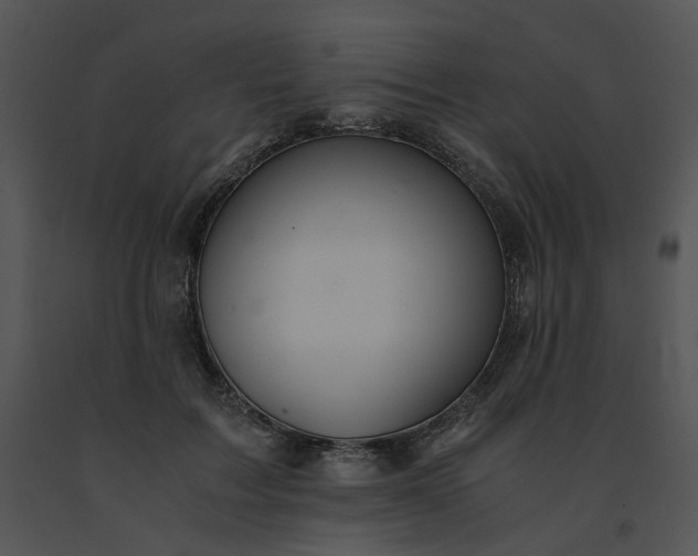 X0000091520603200708311250