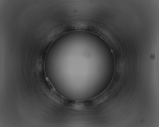 X0000091520604200708311250