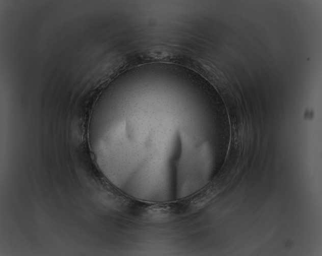 X0000091520606200708311250