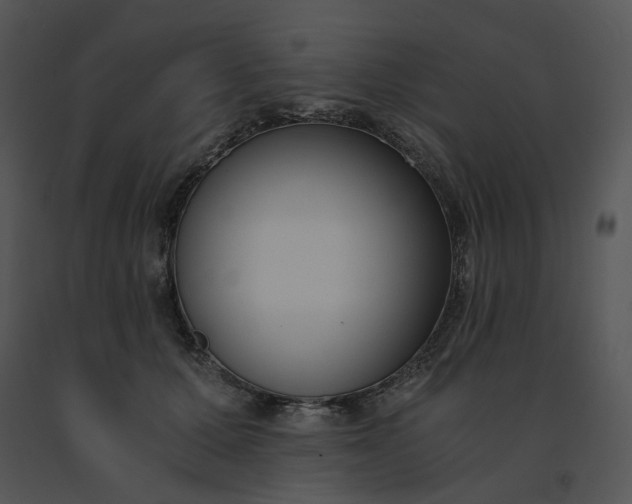 X0000091520607200708311250