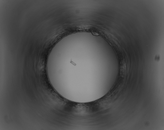 X0000091520608200708311250