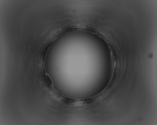 X0000091520609200708311250