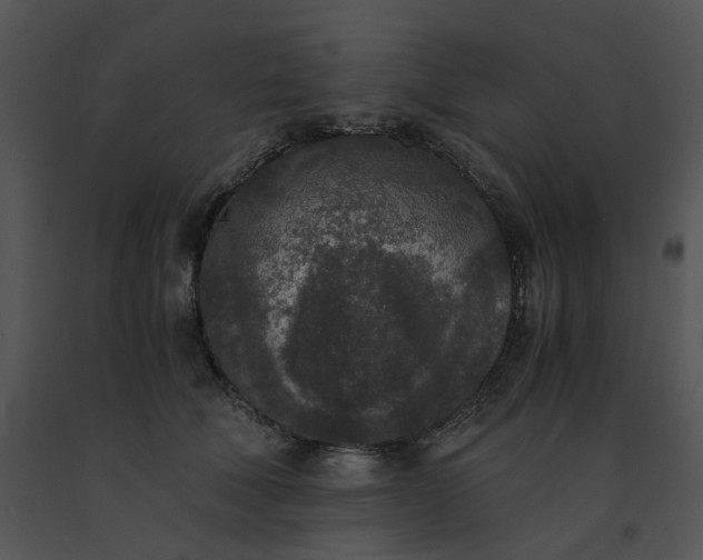 X0000091520610200708311250