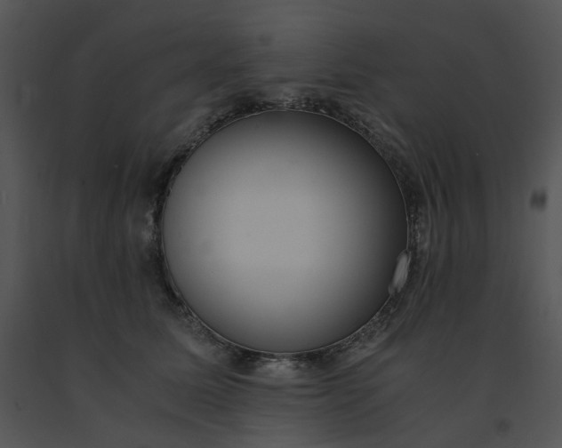 X0000091520611200708311250