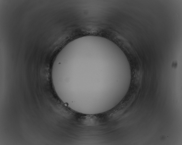 X0000091520612200708311250