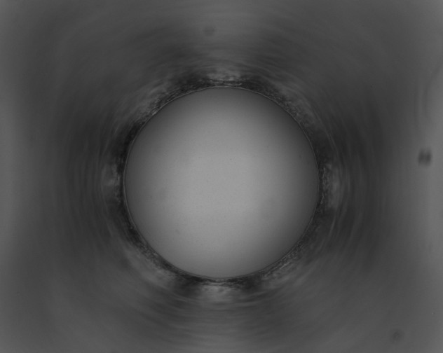 X0000091520614200708311250