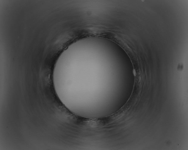 X0000091520615200708311250