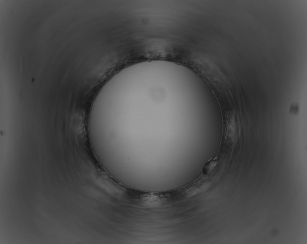 X0000091520616200708311250