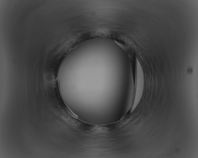 X0000091520617200708311250