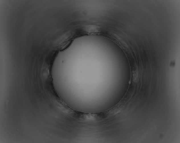 X0000091520618200708311250